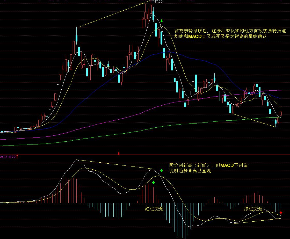 紧急通知!明日广州全市开展爱国卫生统一行动!清积水、灭蚊虫,全民参与护健康